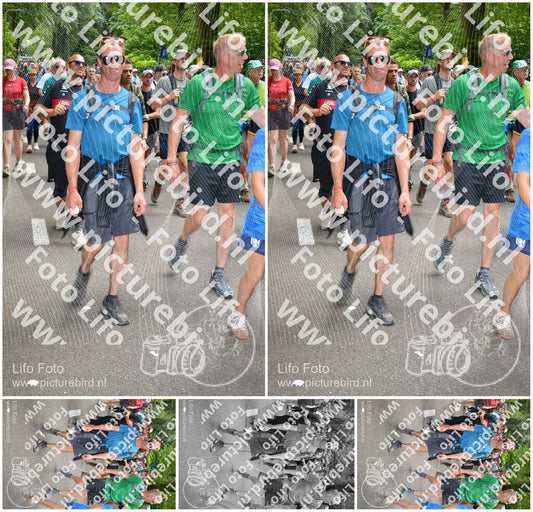 Evenement foto: Nijmeegse Vierdaagse 967