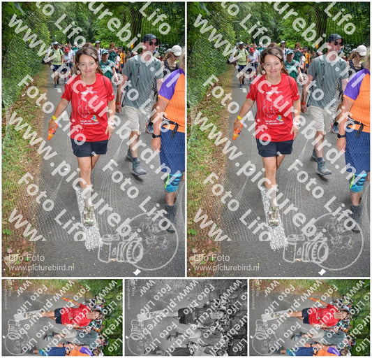 Evenement foto: Nijmeegse Vierdaagse 967