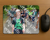 Evenement foto: Nijmeegse Vierdaagse 967