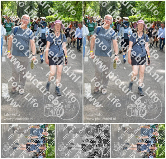 Evenement foto: Nijmeegse Vierdaagse 967