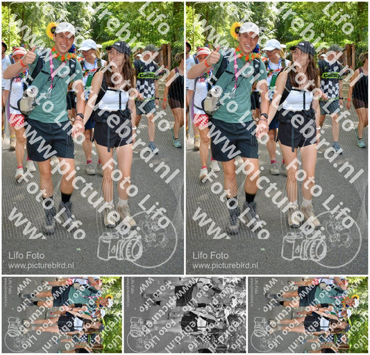 Evenement foto: Nijmeegse Vierdaagse 967