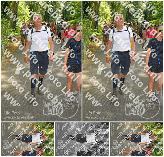Evenement foto: Nijmeegse Vierdaagse 967