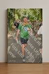 Evenement foto: Nijmeegse Vierdaagse 967