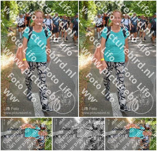 Evenement foto: Nijmeegse Vierdaagse 967