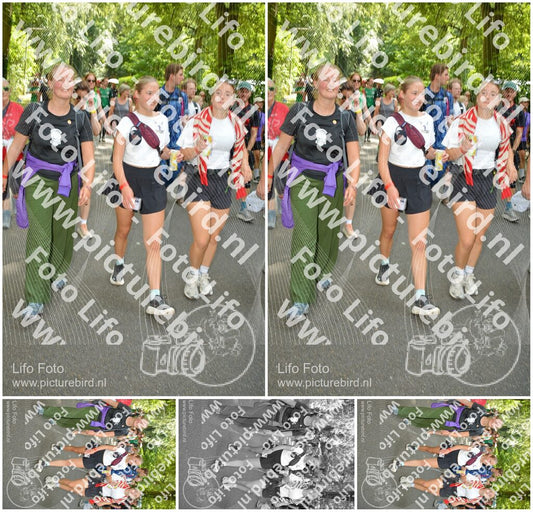 Evenement foto: Nijmeegse Vierdaagse 967
