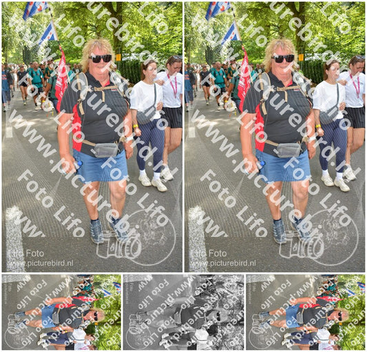 Evenement foto: Nijmeegse Vierdaagse 967