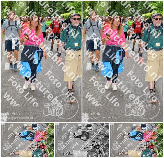 Evenement foto: Nijmeegse Vierdaagse 967
