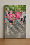 Evenement foto: Nijmeegse Vierdaagse 967