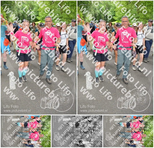 Evenement foto: Nijmeegse Vierdaagse 967