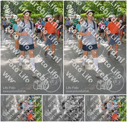 Evenement foto: Nijmeegse Vierdaagse 966