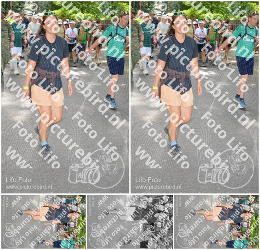 Evenement foto: Nijmeegse Vierdaagse 966