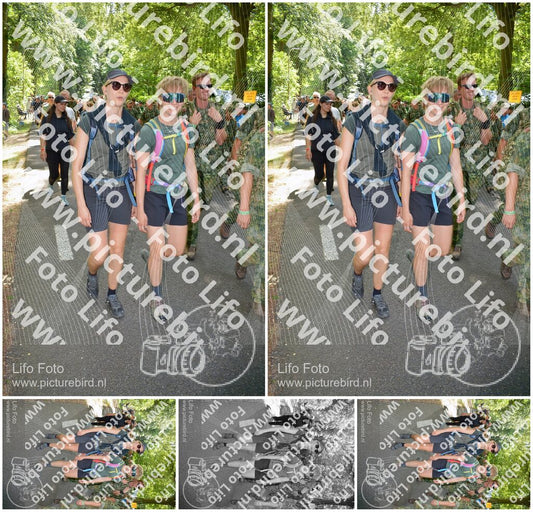 Evenement foto: Nijmeegse Vierdaagse 966