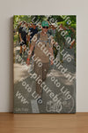 Evenement foto: Nijmeegse Vierdaagse 966