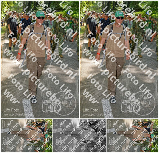 Evenement foto: Nijmeegse Vierdaagse 966