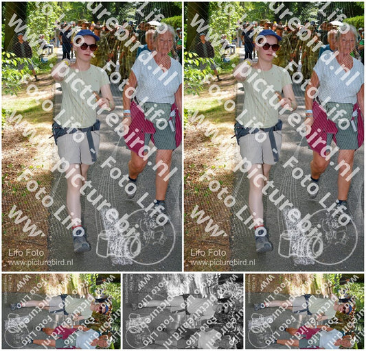 Evenement foto: Nijmeegse Vierdaagse 966