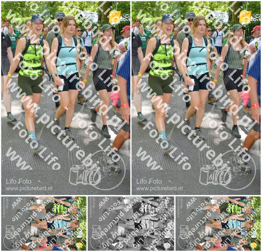 Evenement foto: Nijmeegse Vierdaagse 966