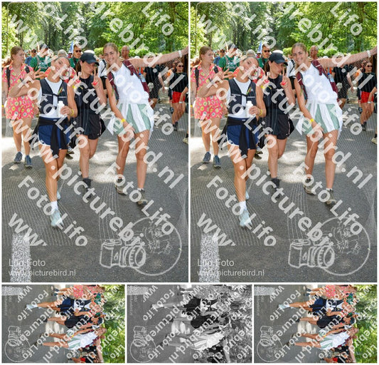 Evenement foto: Nijmeegse Vierdaagse 966