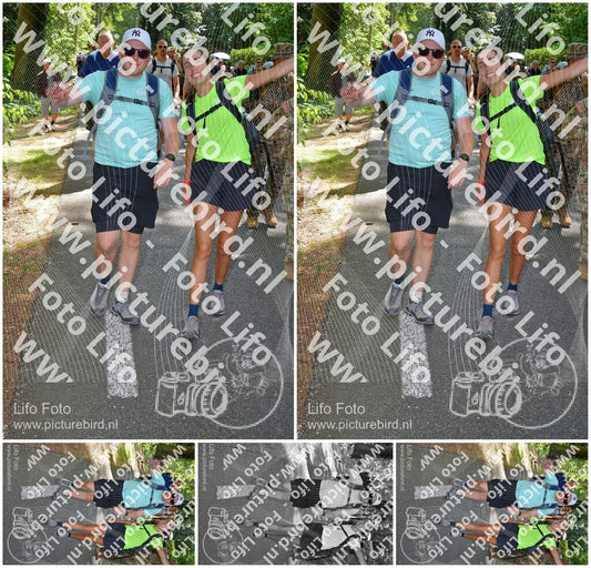 Evenement foto: Nijmeegse Vierdaagse 966