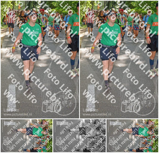 Evenement foto: Nijmeegse Vierdaagse 966
