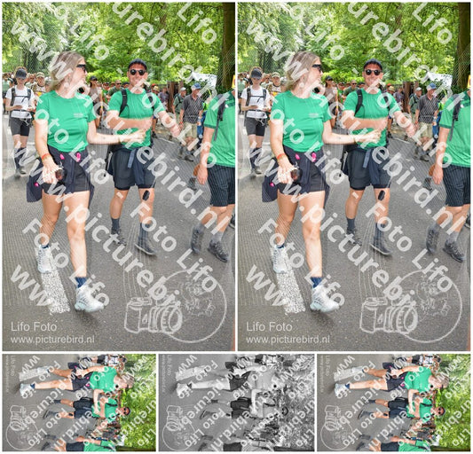 Evenement foto: Nijmeegse Vierdaagse 966