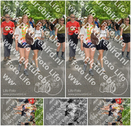 Evenement foto: Nijmeegse Vierdaagse 966