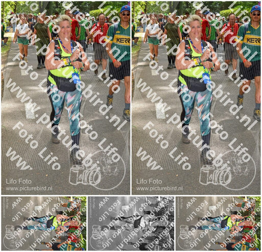 Evenement foto: Nijmeegse Vierdaagse 966
