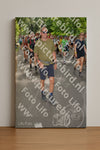 Evenement foto: Nijmeegse Vierdaagse 966