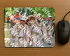 Evenement foto: Nijmeegse Vierdaagse 966