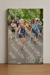 Evenement foto: Nijmeegse Vierdaagse 966