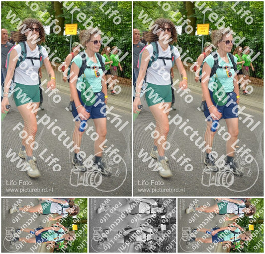 Evenement foto: Nijmeegse Vierdaagse 966
