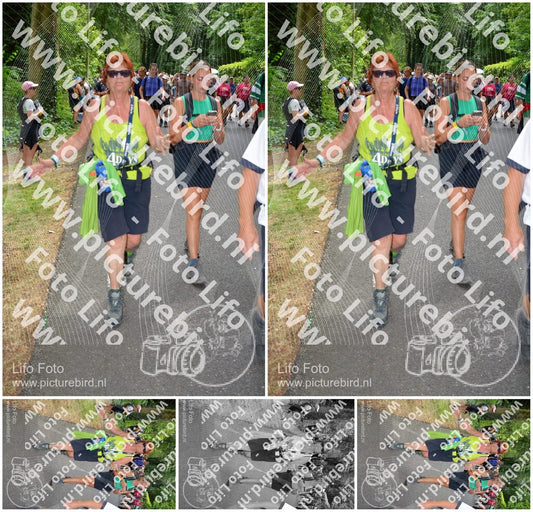 Evenement foto: Nijmeegse Vierdaagse 966