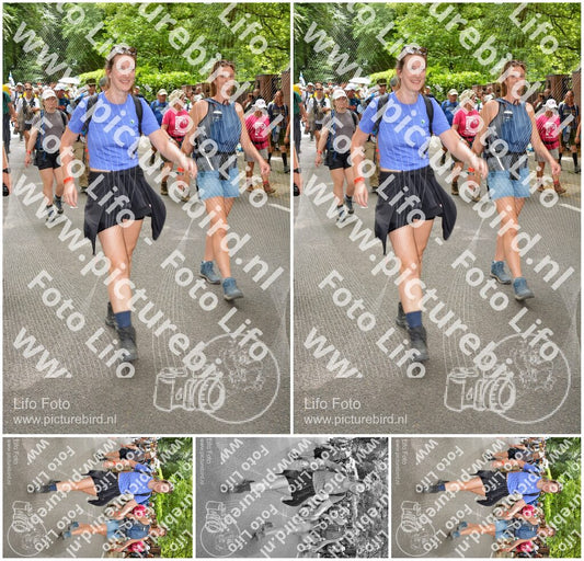 Evenement foto: Nijmeegse Vierdaagse 966
