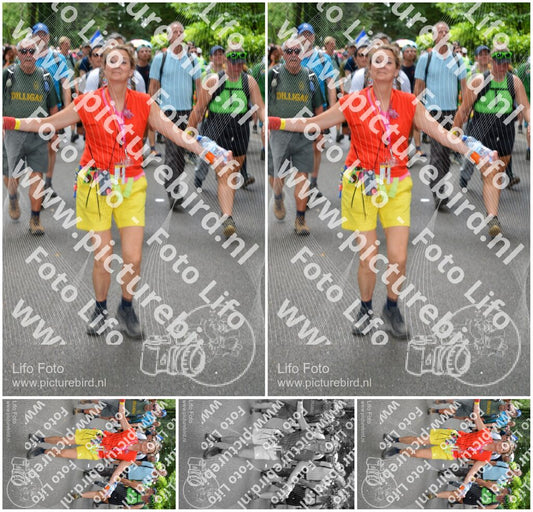 Evenement foto: Nijmeegse Vierdaagse 966