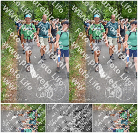 Evenement foto: Nijmeegse Vierdaagse 965