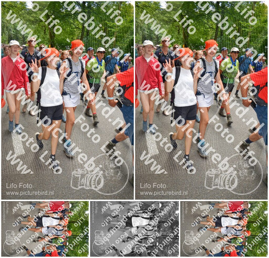 Evenement foto: Nijmeegse Vierdaagse 965