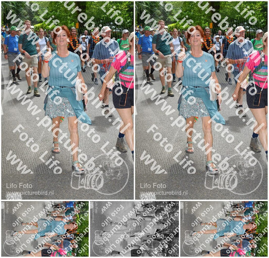 Evenement foto: Nijmeegse Vierdaagse 965