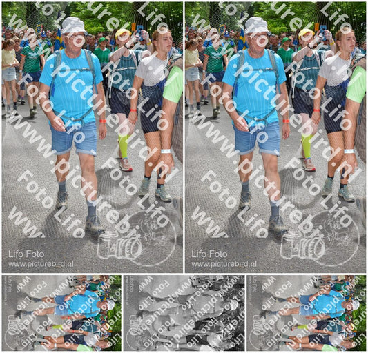Evenement foto: Nijmeegse Vierdaagse 965