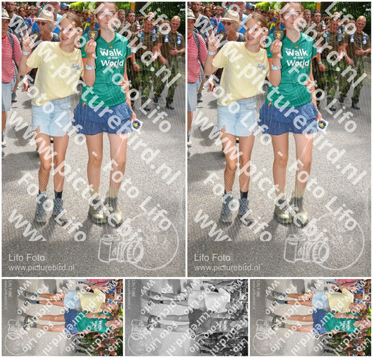 Evenement foto: Nijmeegse Vierdaagse 965