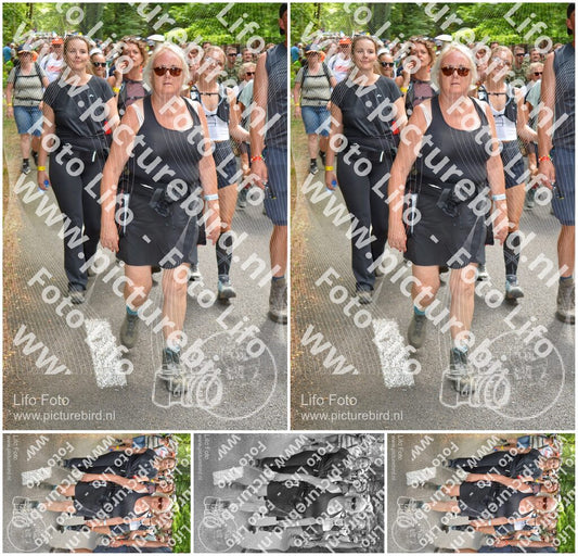 Evenement foto: Nijmeegse Vierdaagse 965