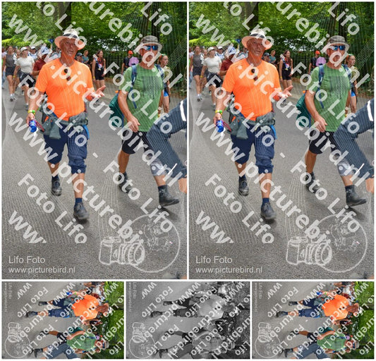 Evenement foto: Nijmeegse Vierdaagse 965