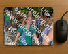 Evenement foto: Nijmeegse Vierdaagse 965