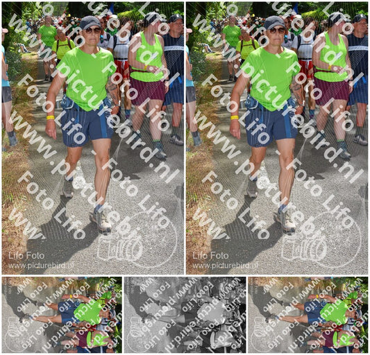 Evenement foto: Nijmeegse Vierdaagse 965
