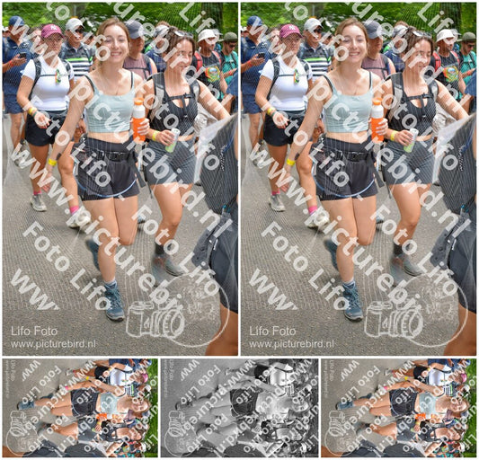 Evenement foto: Nijmeegse Vierdaagse 965