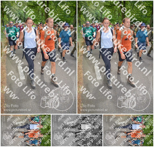 Evenement foto: Nijmeegse Vierdaagse 965