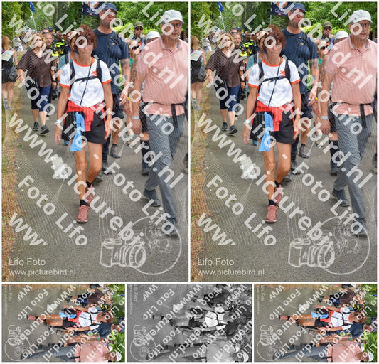 Evenement foto: Nijmeegse Vierdaagse 965