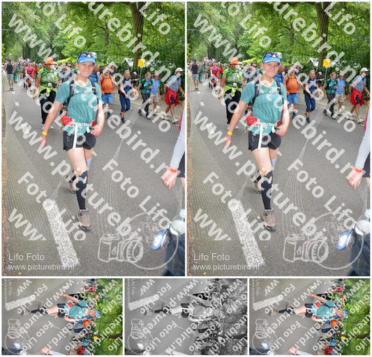 Evenement foto: Nijmeegse Vierdaagse 965
