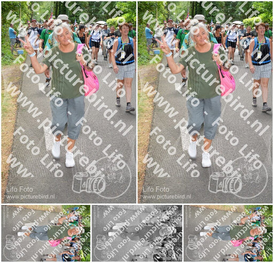 Evenement foto: Nijmeegse Vierdaagse 965
