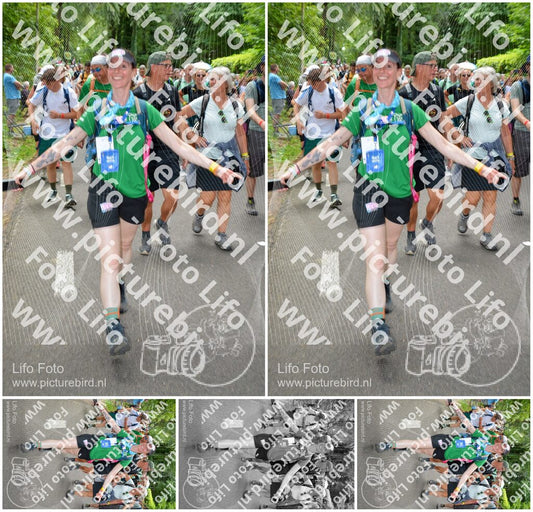 Evenement foto: Nijmeegse Vierdaagse 965
