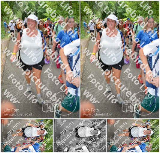 Evenement foto: Nijmeegse Vierdaagse 965