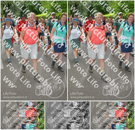 Evenement foto: Nijmeegse Vierdaagse 965